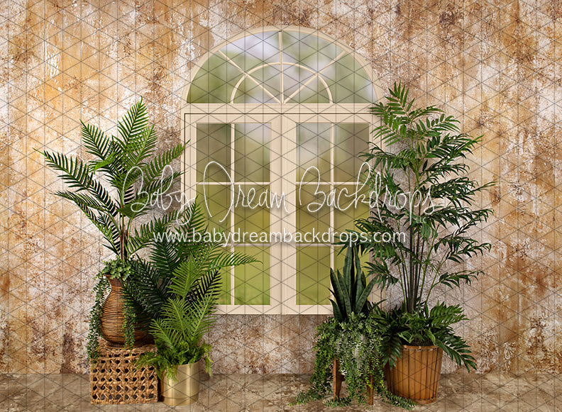 Sophisticated Spring Cream Window (JA)