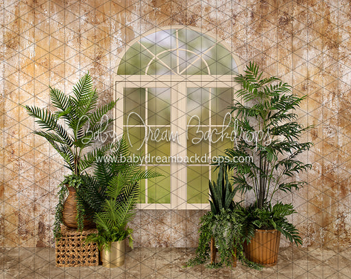 Sophisticated Spring Cream Window (JA)