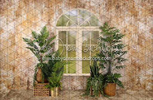 Sophisticated Spring Cream Window (JA)