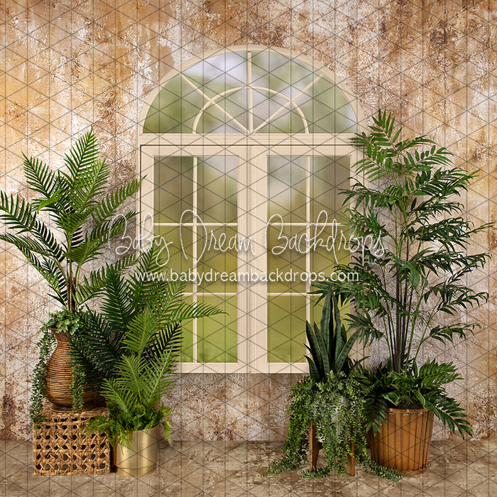 Sophisticated Spring Cream Window (JA)