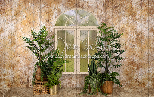 Sophisticated Spring Cream Window (JA)