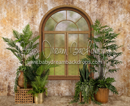 Sophisticated Spring Window (JA)