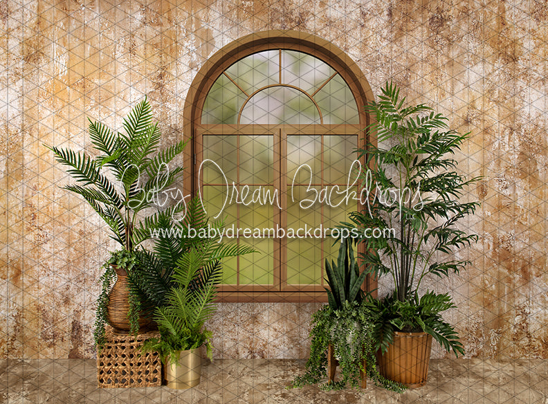 Sophisticated Spring Window (JA)