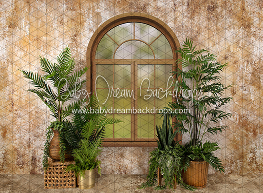 Sophisticated Spring Window (JA)