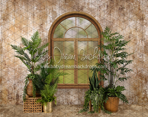 Sophisticated Spring Window (JA)