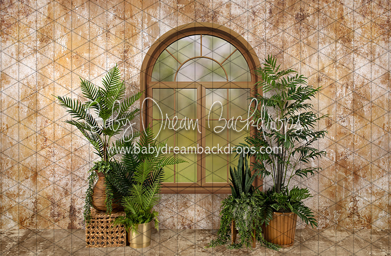 Sophisticated Spring Window (JA)