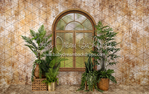 Sophisticated Spring Window (JA)