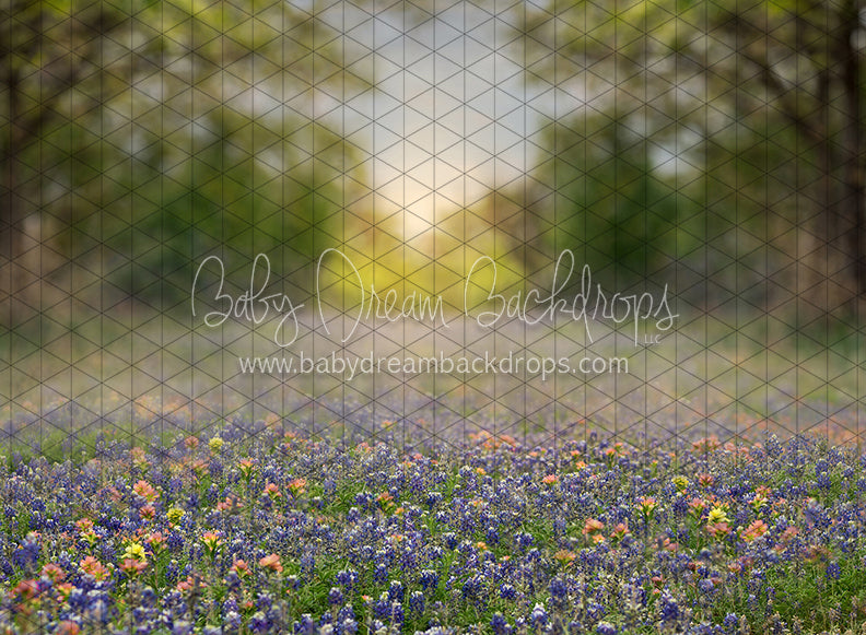 X Drop southern girl