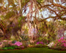 Southern Garden 8x10 ID (Premium)