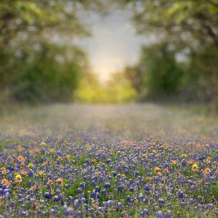 X Drop southern girl