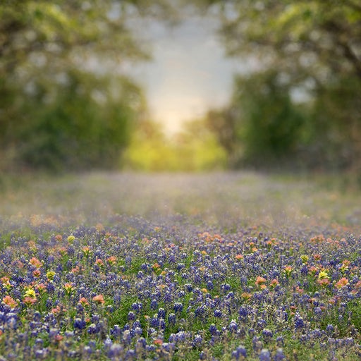 Southern Girl - 8x8 Backdrop 