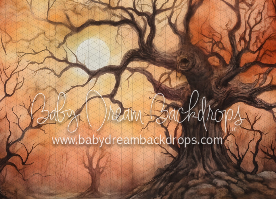 Spooky Halloween (VR)