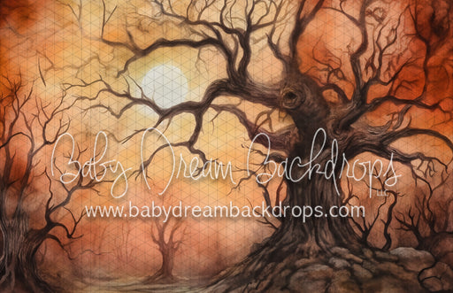 Spooky Halloween (VR)