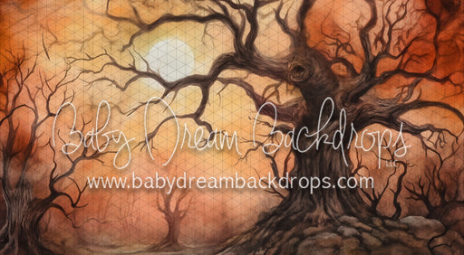 Spooky Halloween (VR)