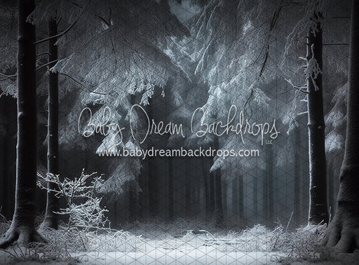 Spotlight on Winter (LL)