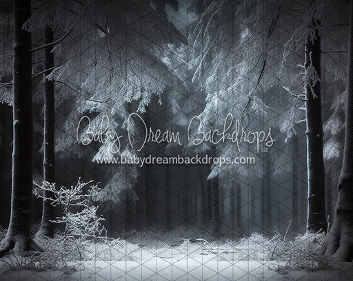 Spotlight on Winter (LL)