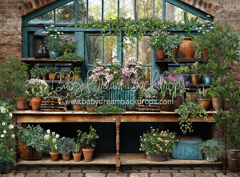 Spring Garden Shed Table (JA)