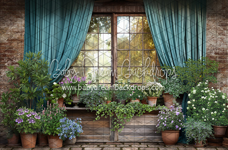 Spring Garden Shed Window (JA)