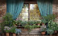 Spring Garden Shed Window (JA)