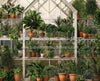 Spring Greenhouse (JA)