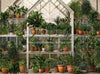 Spring Greenhouse (JA)