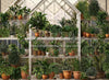 Spring Greenhouse (JA)