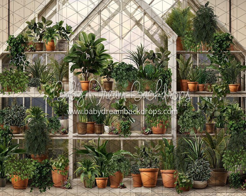 Spring Greenhouse (JA)