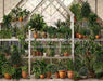 Spring Greenhouse (JA)