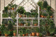 Spring Greenhouse (JA)