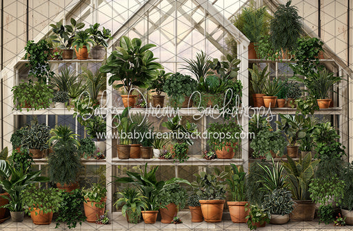 Spring Greenhouse (JA)