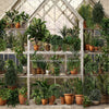 Spring Greenhouse (JA)