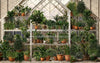 Spring Greenhouse (JA)