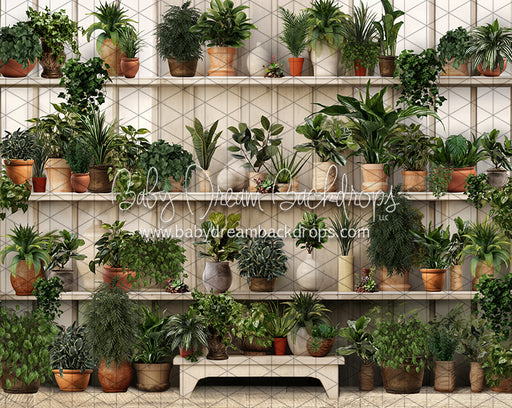 Spring Greenhouse Greens (JA)