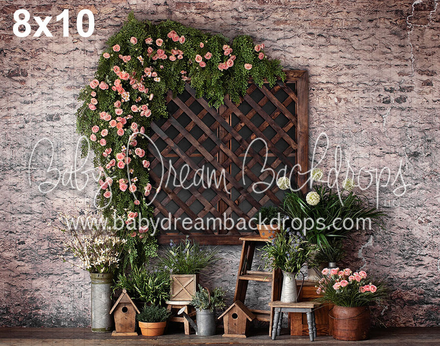 Spring Lattice Window