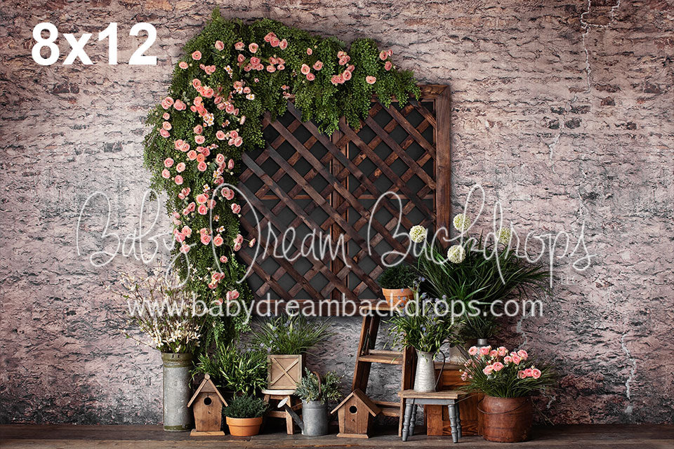 Spring Lattice Window