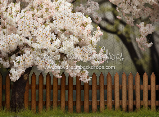 Spring Song Yard (JA)