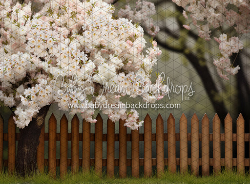 Spring Song Yard (JA)