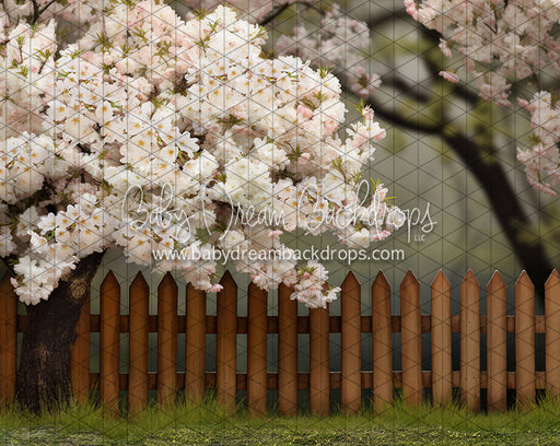 Spring Song Yard (JA)