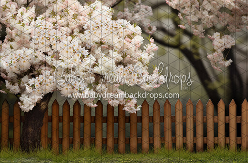 Spring Song Yard (JA)