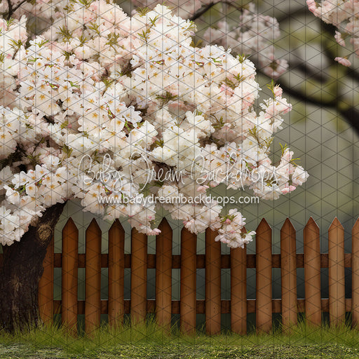 Spring Song Yard (JA)