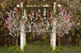Spring Countryside Arch with Pink (JA)