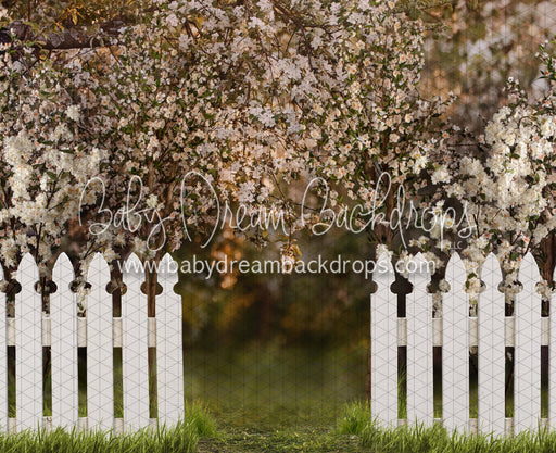 Spring Countryside Fence (JA)