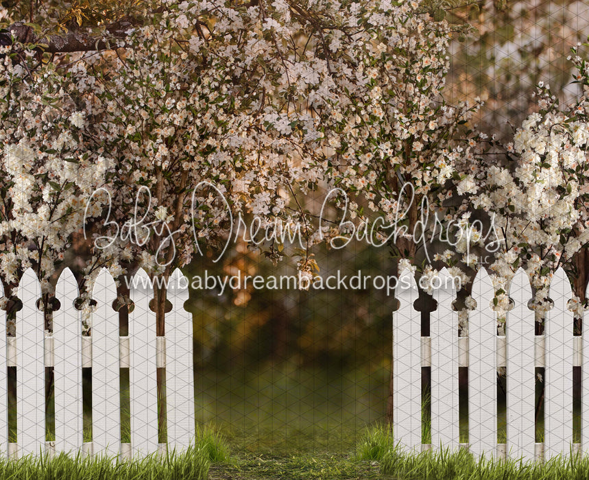 Spring Countryside Fence (JA)