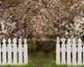 Spring Countryside Fence (JA)