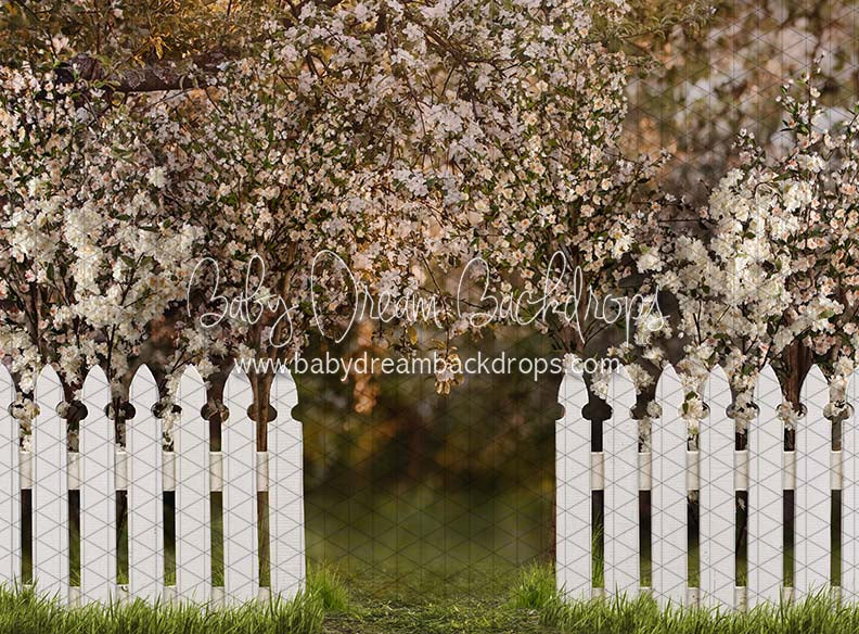 Spring Countryside Fence (JA)