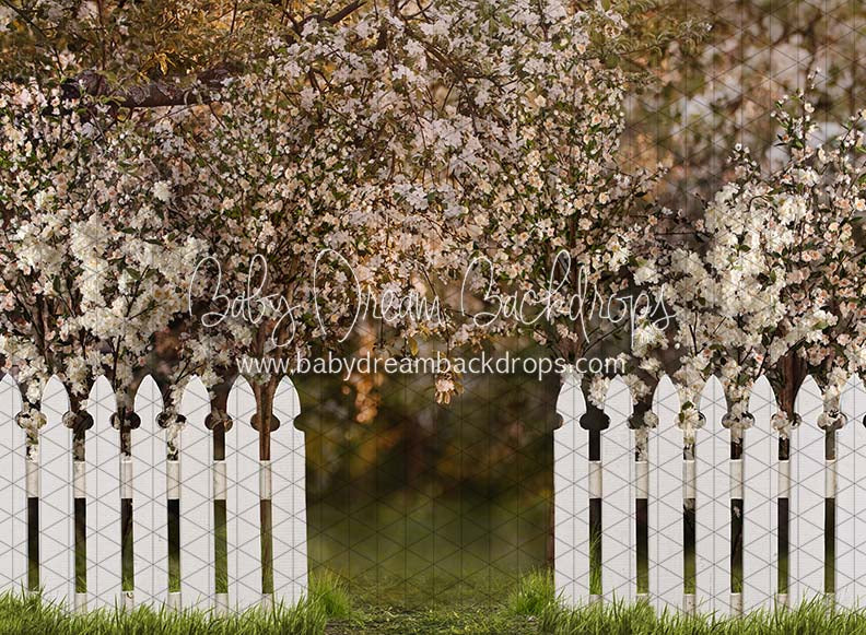 Spring Countryside Fence (JA)