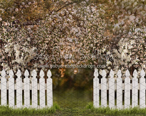 Spring Countryside Fence (JA)