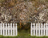 Spring Countryside Fence (JA)
