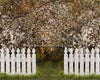 Spring Countryside Fence (JA)