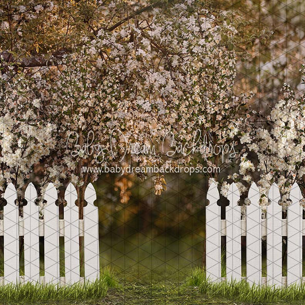 X Drop spring countryside fence ja